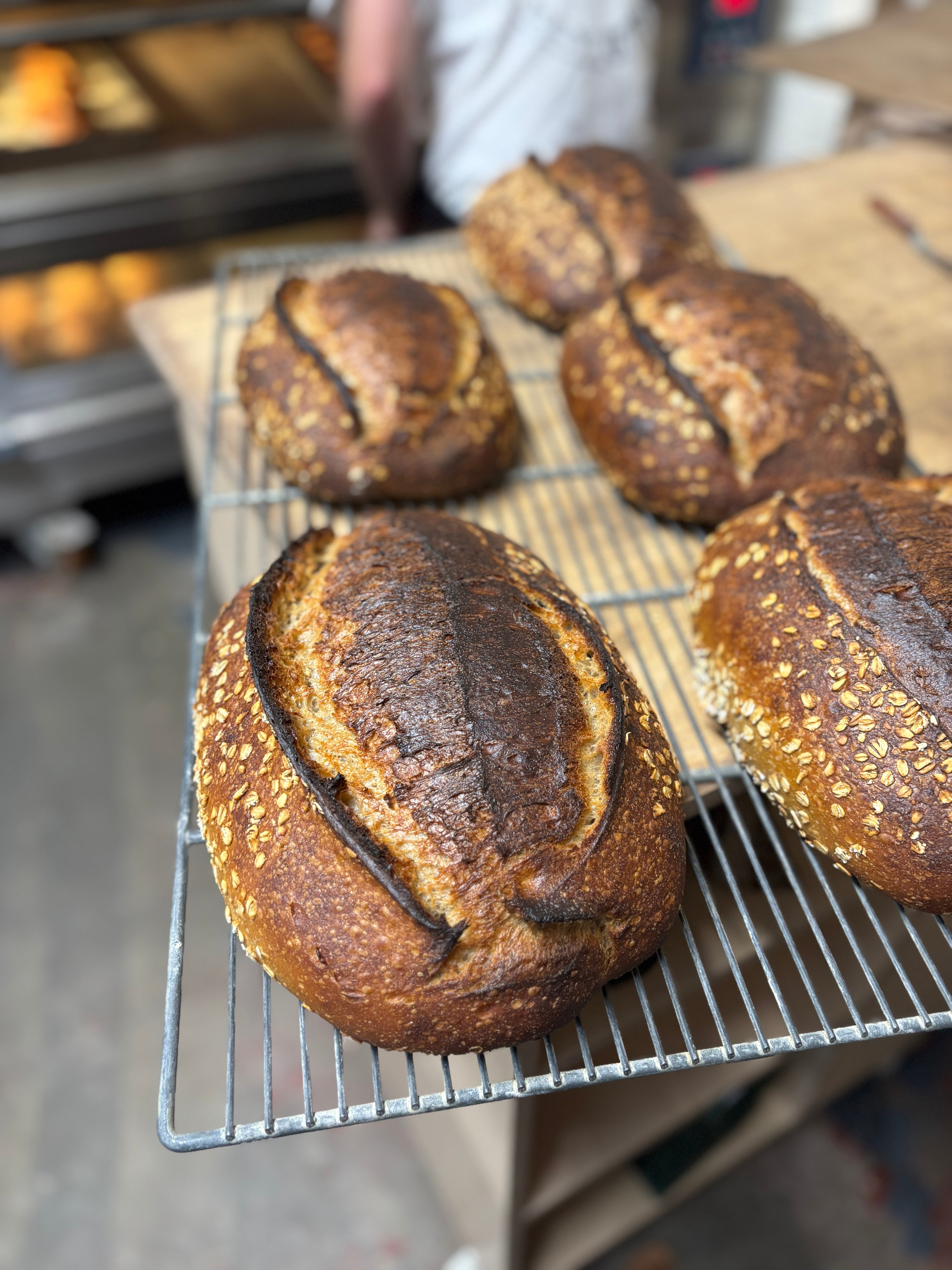 Toasted oat porridge